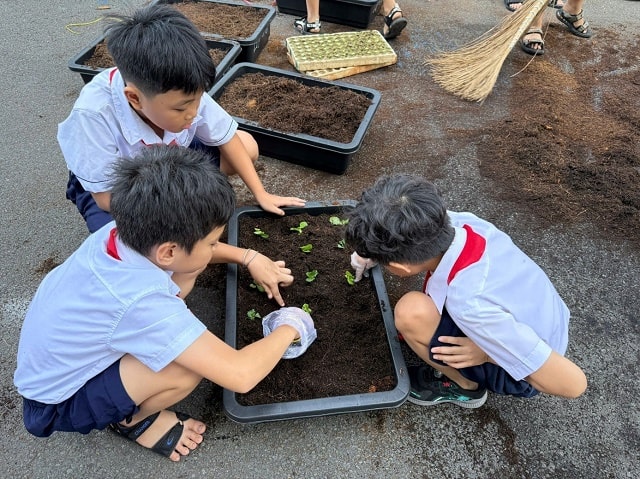 Hoạt động trải nghiệm tại vườn ươm  “Gieo hạt – Gieo ước mơ”